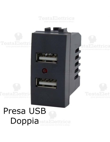 Caricatore USB doppia  compatibile con serie Bticino LivingLight