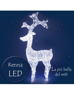 Renna luminosa a Led con Flash luci Bamby Rosawinter 2