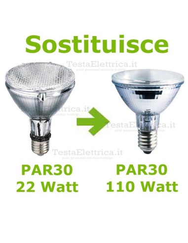 Lampada al Neon PAR 30 22 Watt E27 65400k Dgk