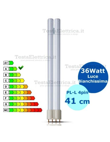 Lampada al Neon PL-L 36W 865 4P Okes