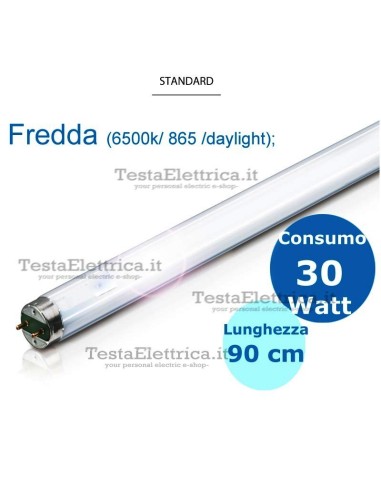 Tubo a neon 90 cm 30 watt cm T8 Standard Leuci