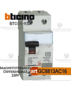 Interruttore Magnetotermico Differenziale 20A  220V Bticino