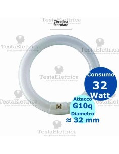 Circolina al neon 32 watt 31 cm T8 Standard Trifosforo Leuci