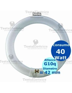 Circolina al neon 40 watt 41cm T8 Standard Trifosforo Leuci