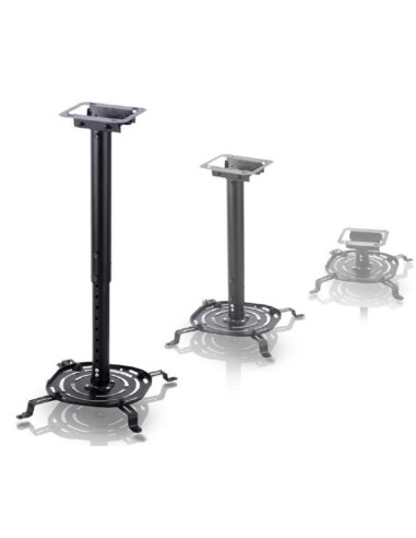 Staffa per proiettori universale da soffitto Gbs 