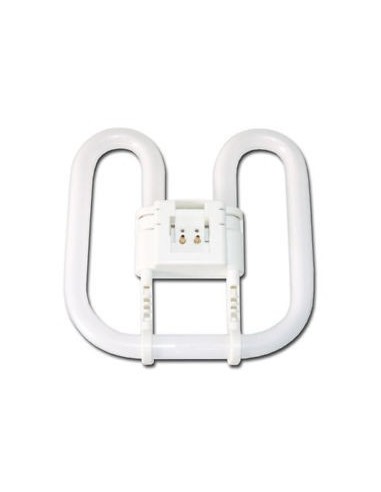 Lampada 2d 16W GR8 2 pin Gemini