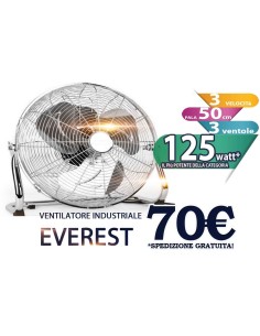 Ventilatore industriale acciaio Everest timar